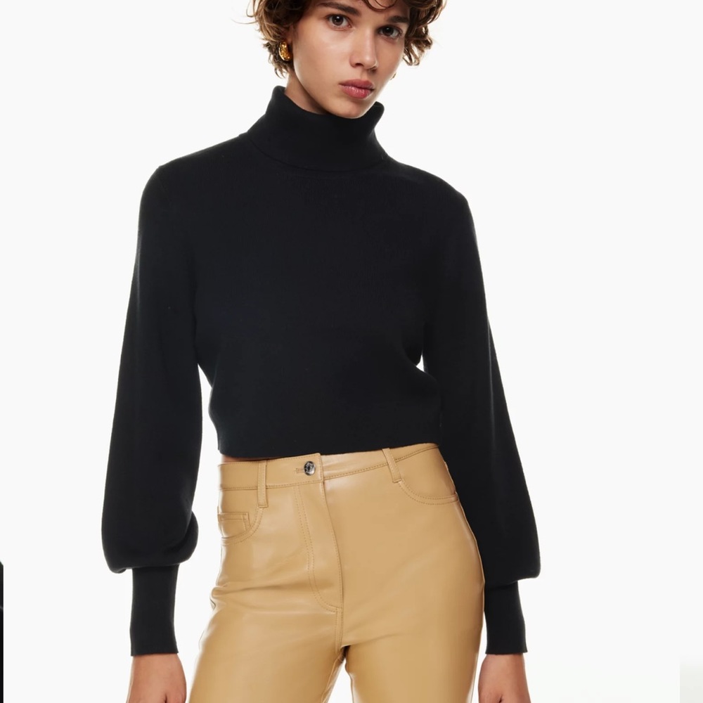 Aritzia Rebecca Turtleneck